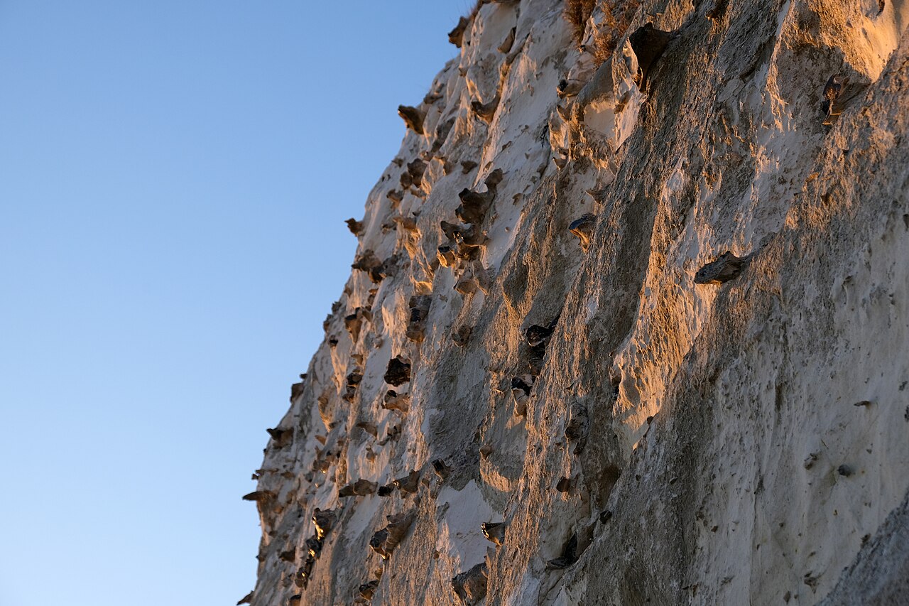 An atlas of the United Kingdom, compiled for travellers by sea and by road — Ferry UK and UK travel guide